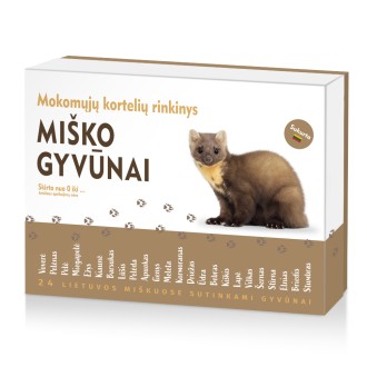 Miško gyvūnai - Mokomosios kortelės