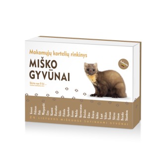 Miško gyvūnai - Mokomosios kortelės