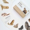 Miško gyvūnai - Mokomosios kortelės