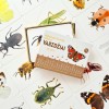 Vabzdžiai - Mokomosios kortelės