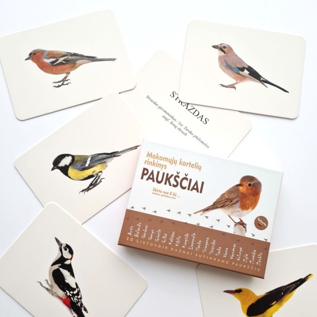 Paukščiai - Mokomosios kortelės