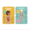 Žmogaus kūnas - Mokomosios kortelės