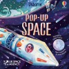 POP-UP SPACE (Erdvinė knygelė)