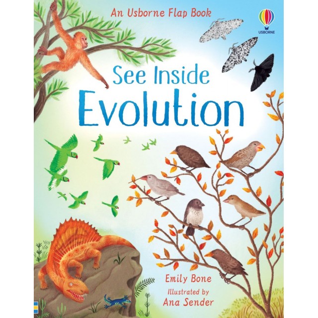SEE INSIDE EVOLUTION (Knygelė su atvartėliais)