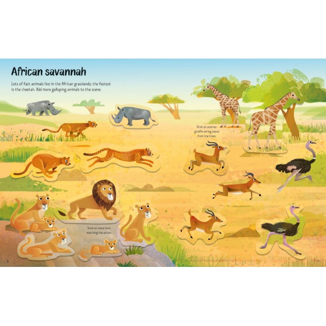 First sticker book: WILD ANIMALS (Lipdukų knygelė)