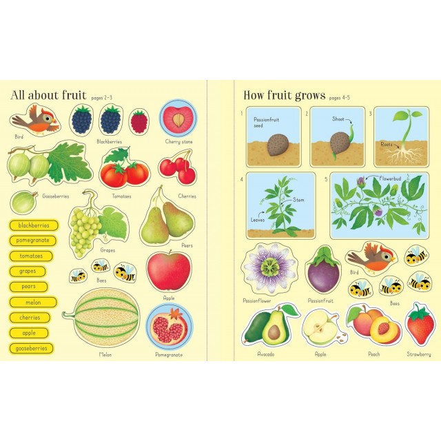 First sticker book FRUIT AND VEGETABLES (Lipdukų knyga)