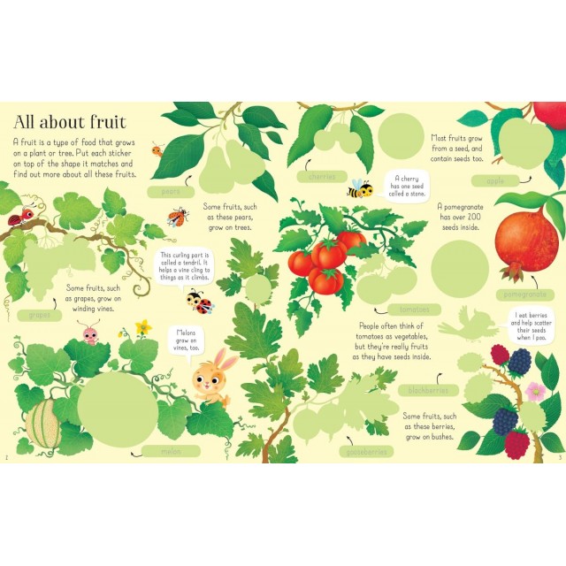 First sticker book FRUIT AND VEGETABLES (Lipdukų knyga)