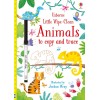 LITTLE WIPE-CLEAN ANIMALS TO COPY (Daugkartinė piešimo knygelė)