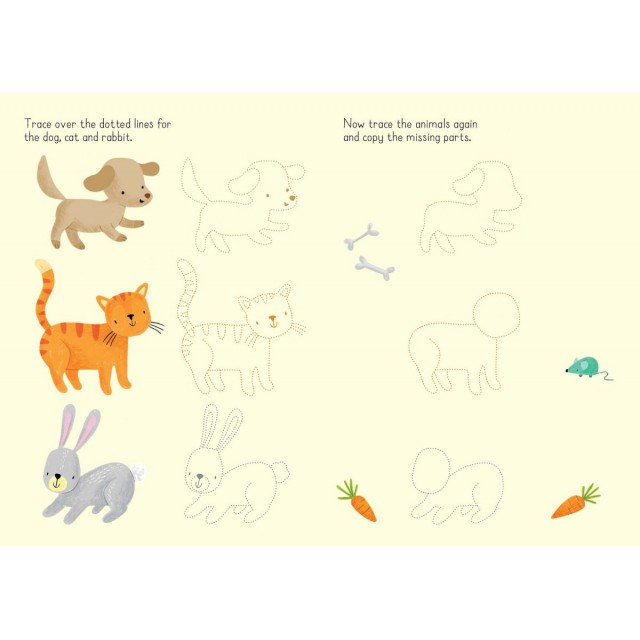 LITTLE WIPE-CLEAN ANIMALS TO COPY (Daugkartinė piešimo knygelė)